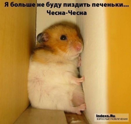 Max Serdiuk ****