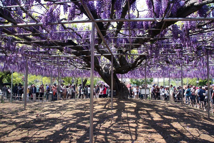 Сергей Кравченко | 