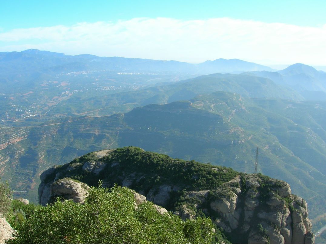 Ольга Ершова | Санкт-Петербург