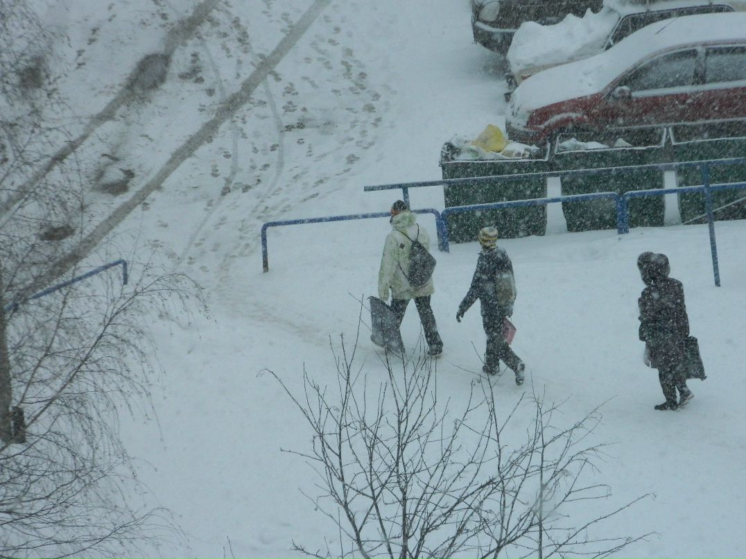 Алиска Додина | 