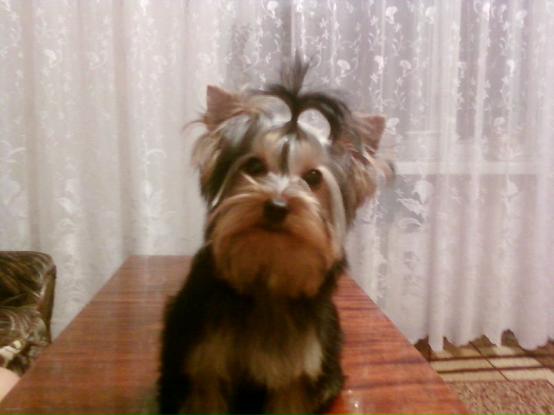 Марина Николаева | Рубежное