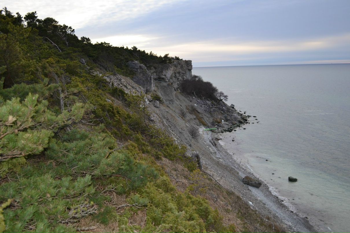 Александр Сафронов | Смоленск