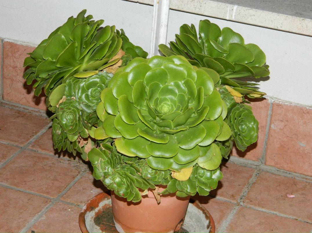 Андрей Соколов | Прилуки