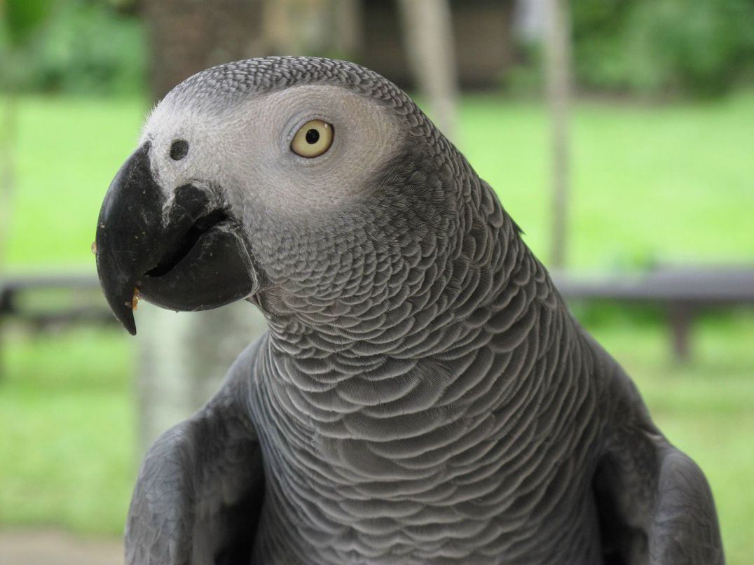 Дмитрий Гришин | Москва