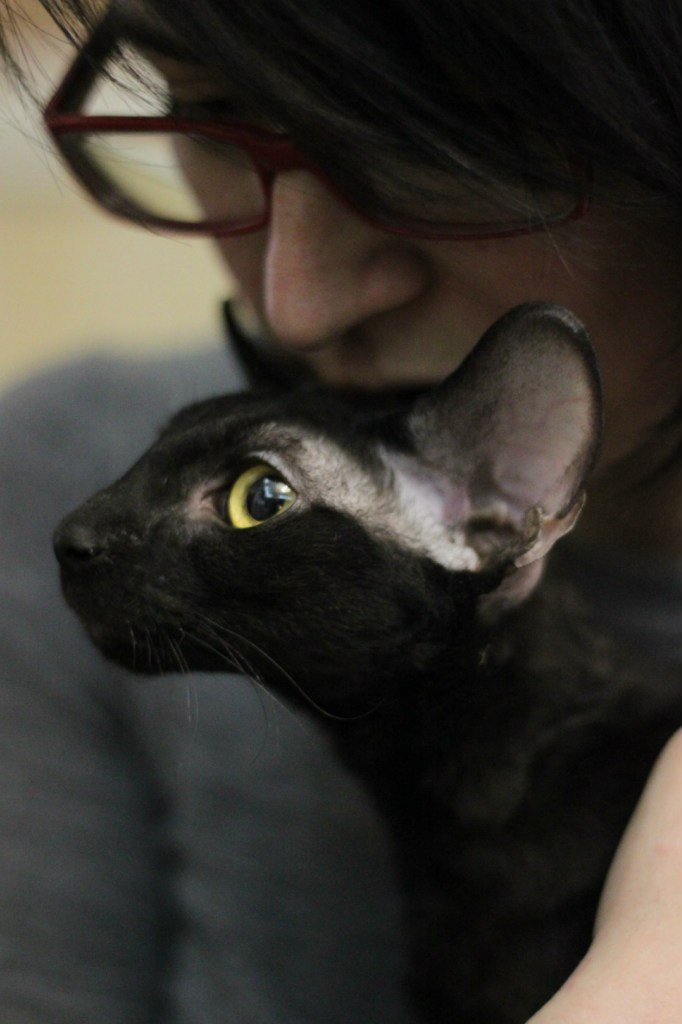 Лидия Ведерникова | Москва