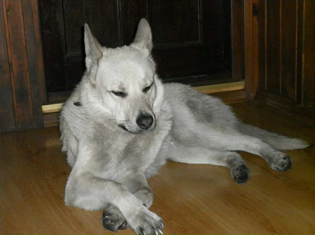 Валерия Чурсинова Felumena | Санкт-Петербург