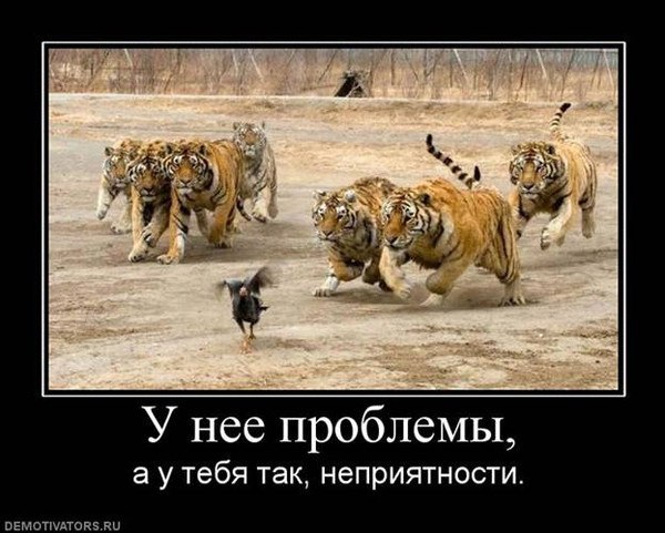 Эдуард Кировабадский | Москва