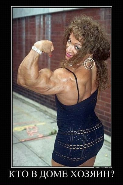 №73, Оля Чалая, Днепр (Днепропетровск) №73, Оля Чалая, Днепр (Днепропетровск)