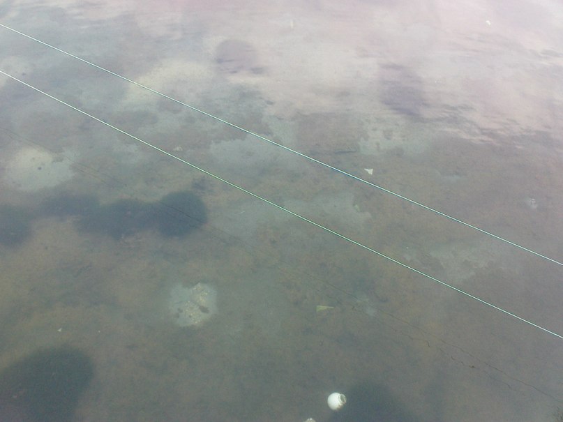 Мария Добрикова | Бургас