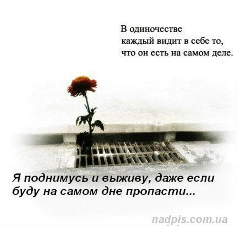Евгения Ломова | Краснодар
