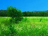 Миша Балахонофф | Санкт-Петербург