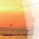 Екатерина Солдатова | 