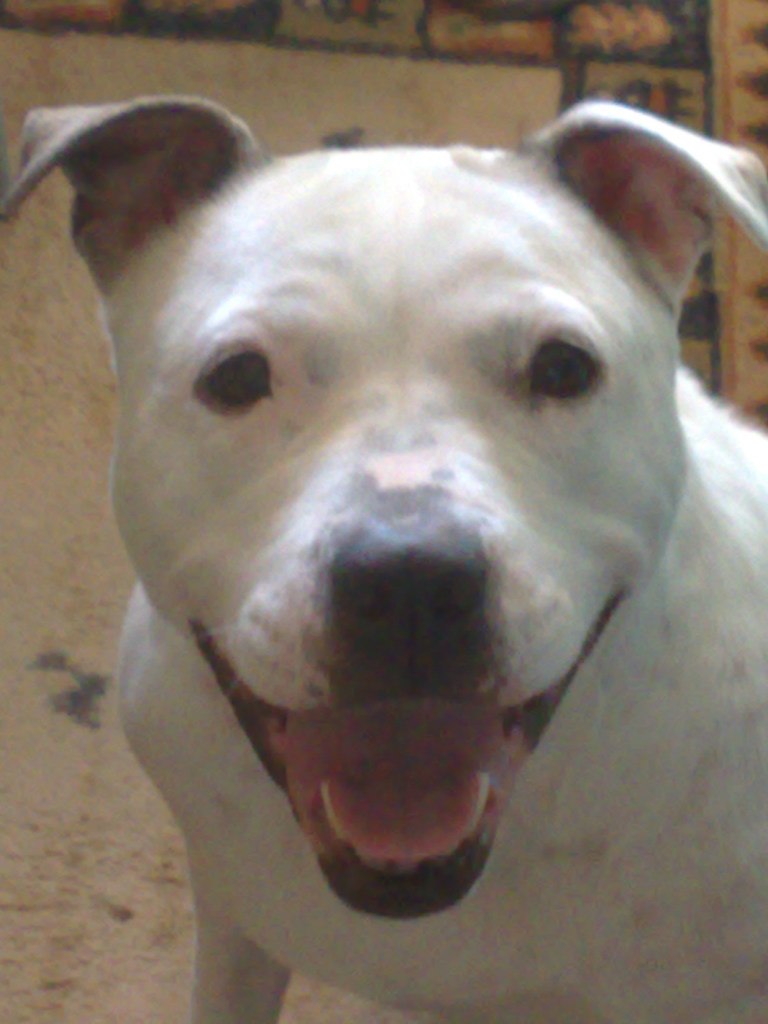 Алексей Душутин | Мурманск