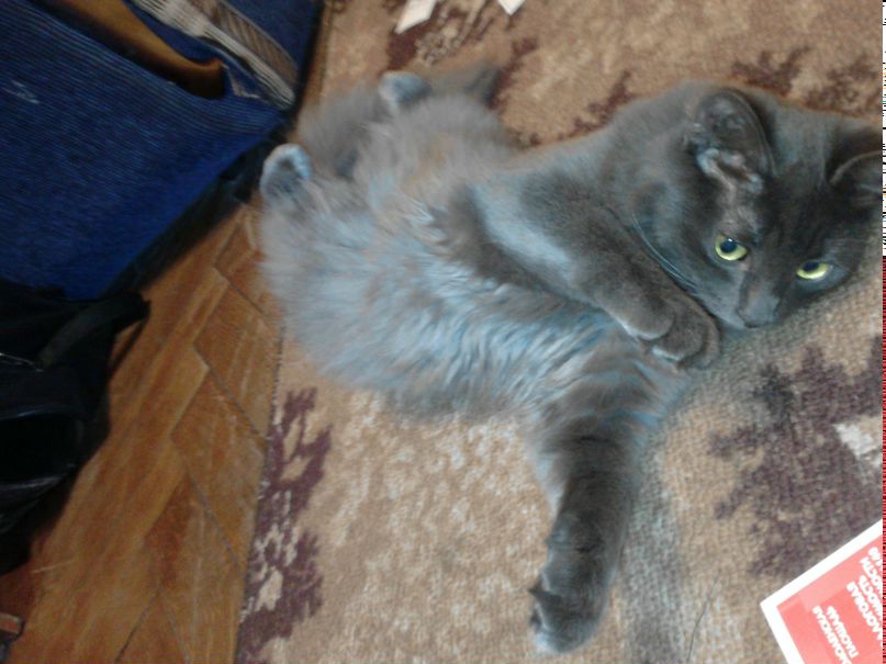 Настька Гофман | Москва