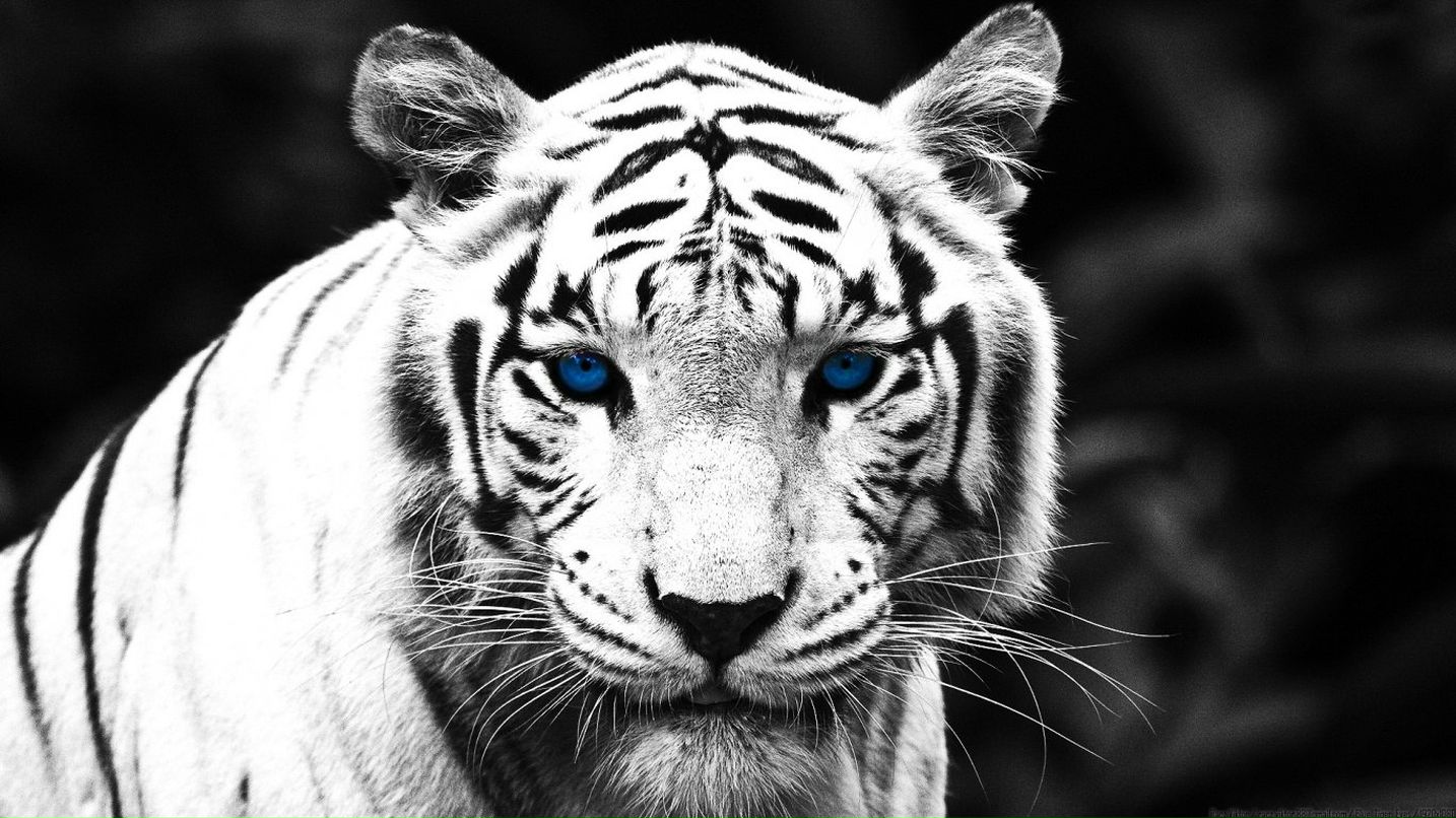 Татьяна Позняк | Минск