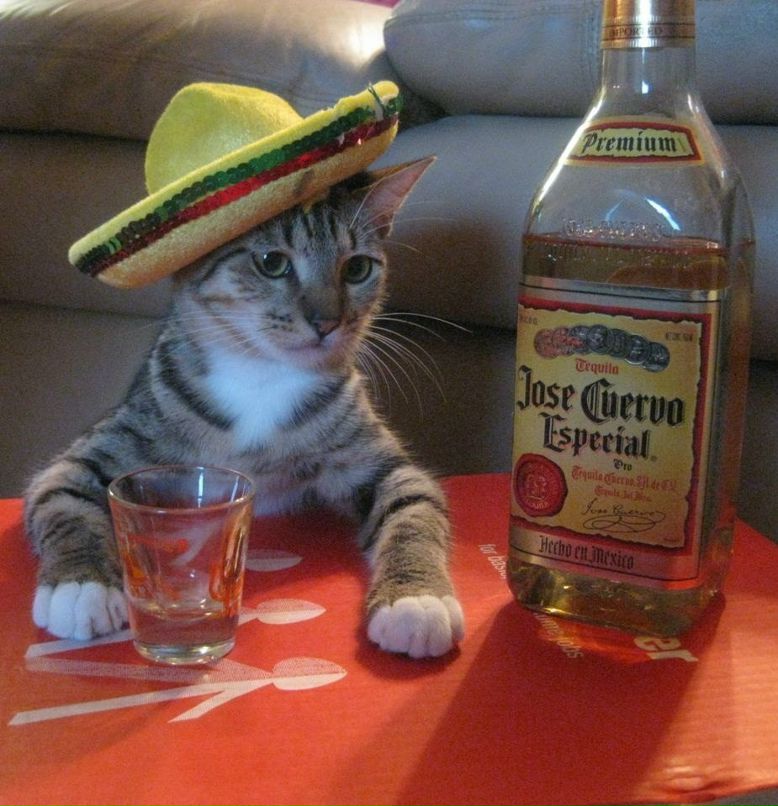 Иван Пучков | Москва