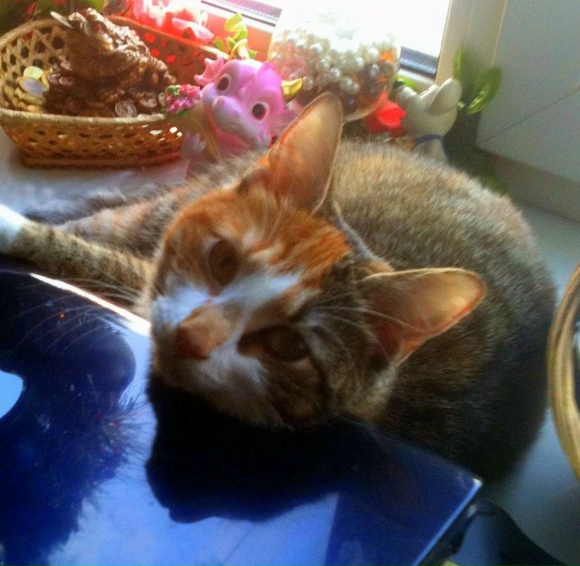 Татьяна Иванова | 