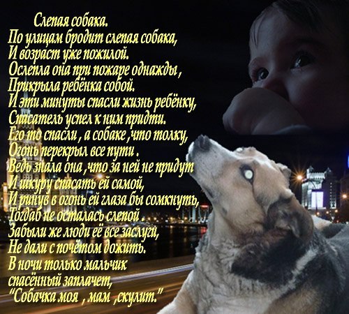№70, Василий Ялковский, Казань №70, Василий Ялковский, Казань