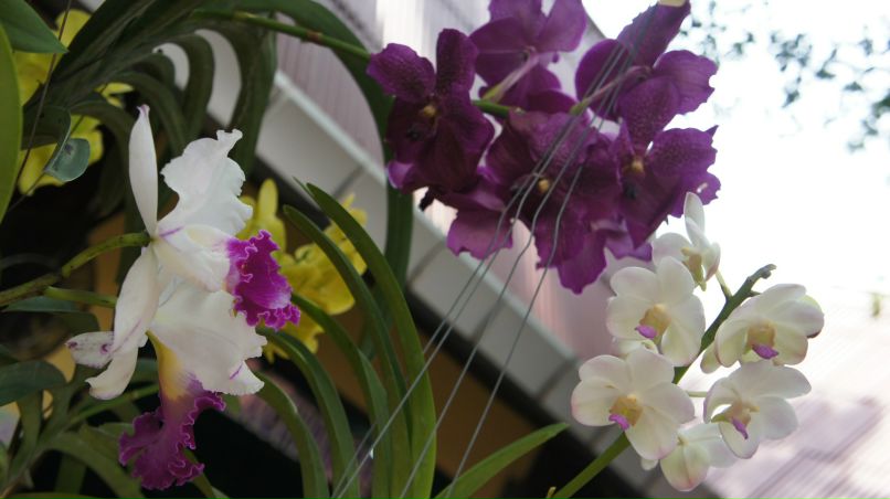 Валерия Шведова | Барнаул