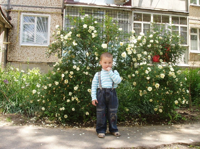 Татьяна Оливко | Киев