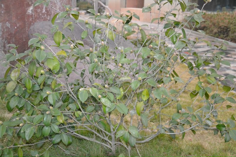 Алексей Конаков | Москва