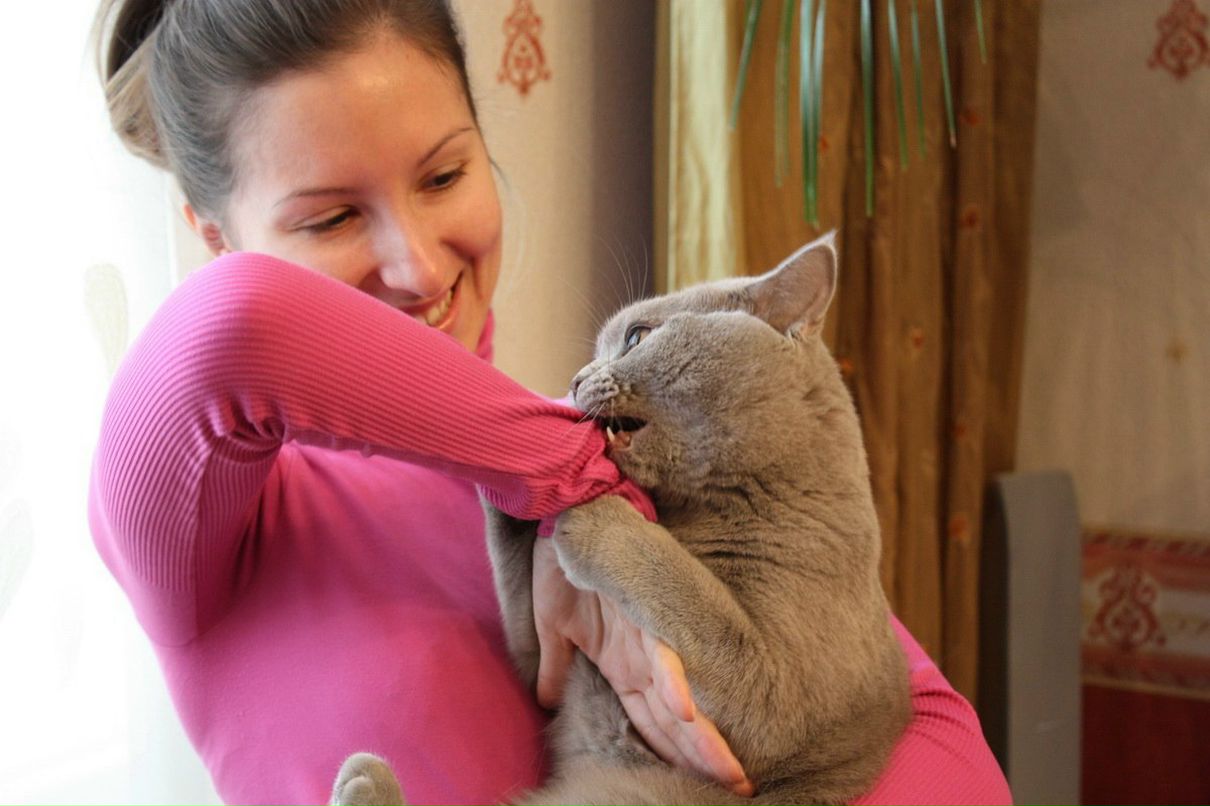 Saxar Xxx | Москва