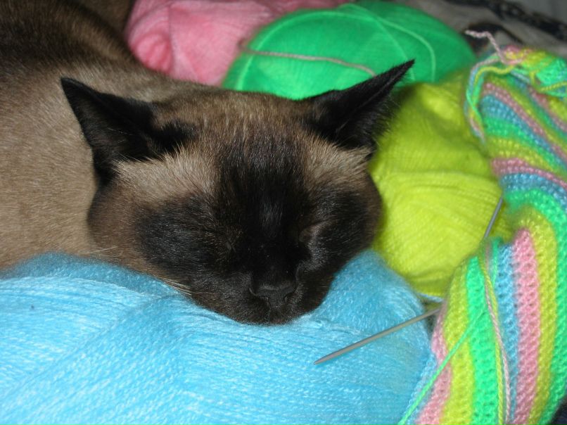 Миша Димачков | Москва