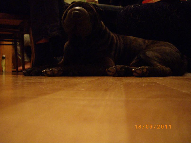 Вадим Грехов | Екатеринбург