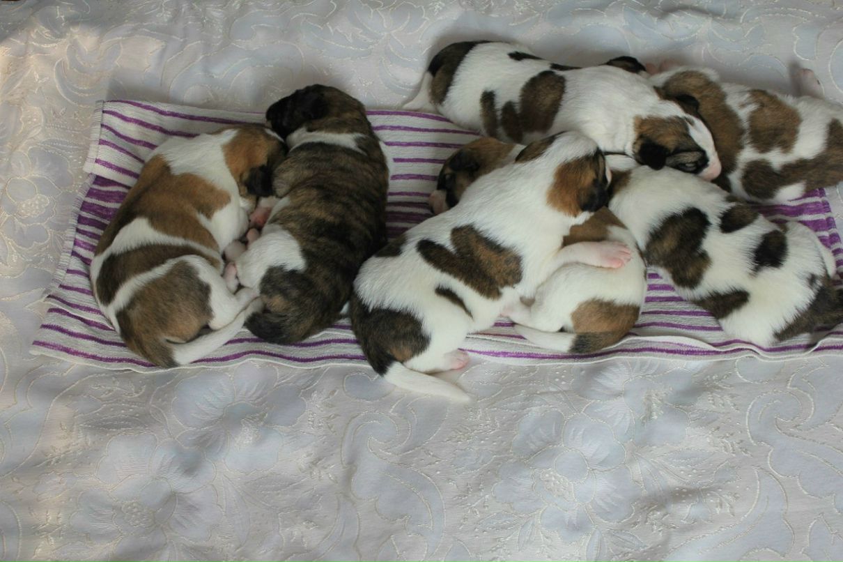 Яна Хамардюк | Хмельницкий