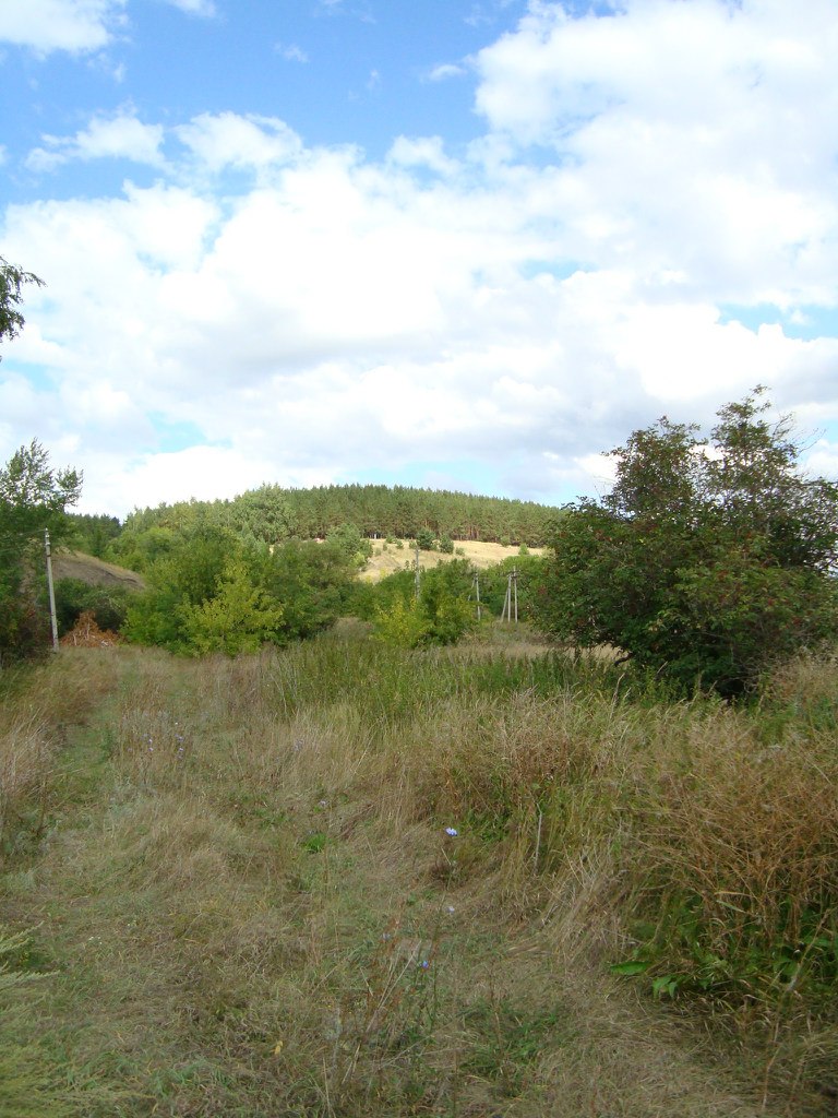 Дима Терентьев | Санкт-Петербург