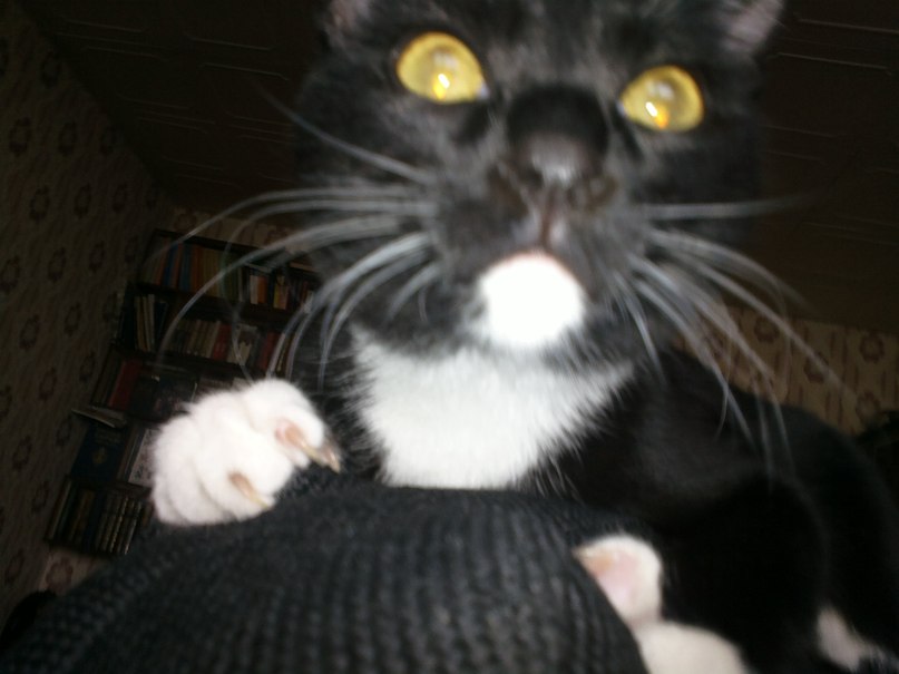 Екатерина Леонардова | Красноярск