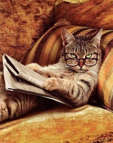 Вадим Колодочка | Ухта