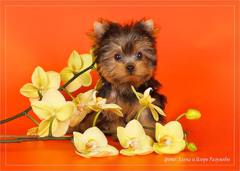 Татьяна Устименко | Ейск