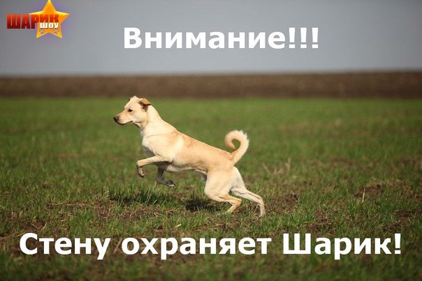 Sergey Vorobyev na nerest | Санкт-Петербург