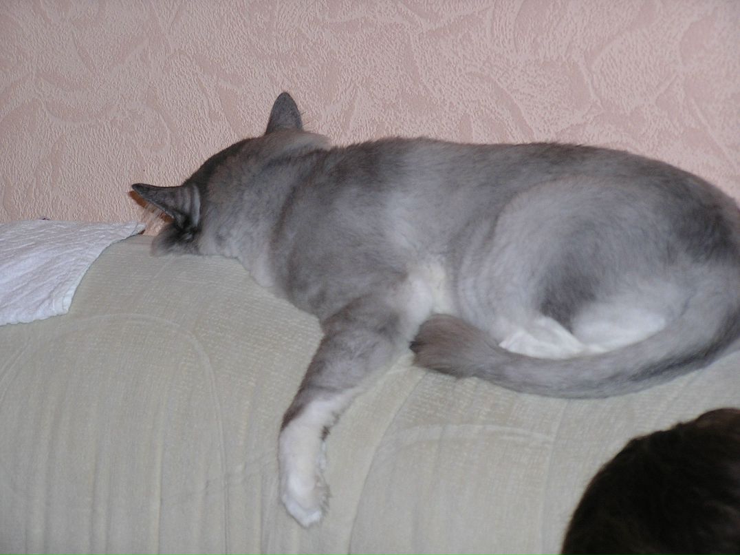 Ксения Шакина | Нижневартовск