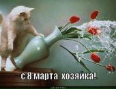 №32 Алла Светличная 03.08.1988: профиль, фото, статус - ВКонтакте