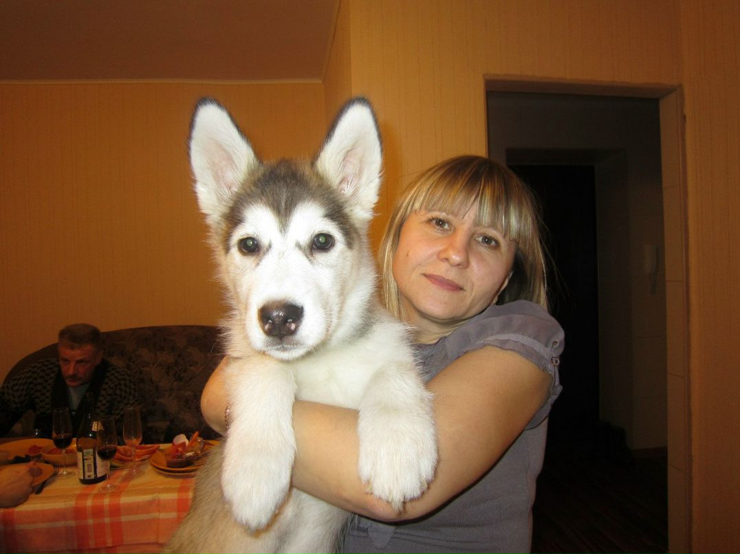 Александр Зырянов | Екатеринбург