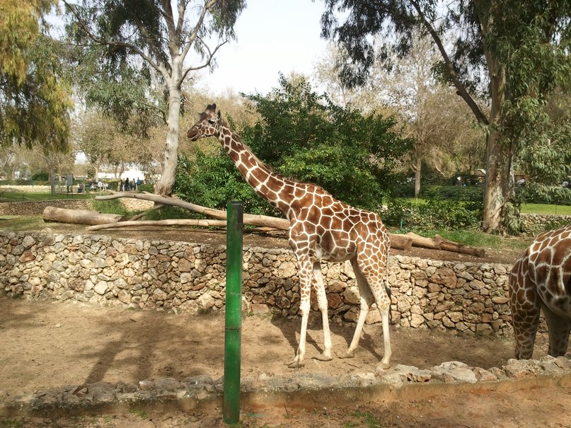 Татьяна Шишкина | Тирасполь