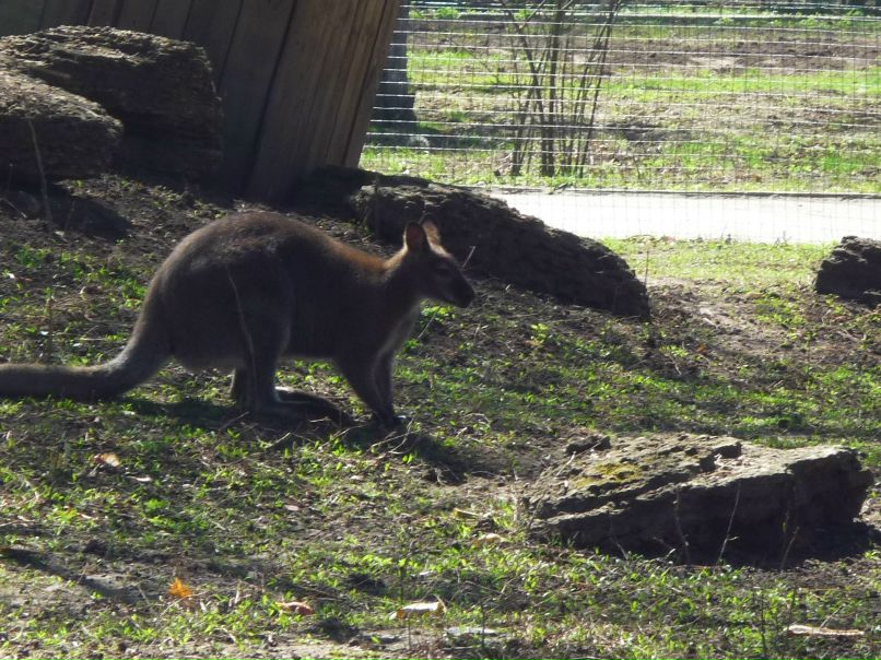 Люся Иванова | Одесса