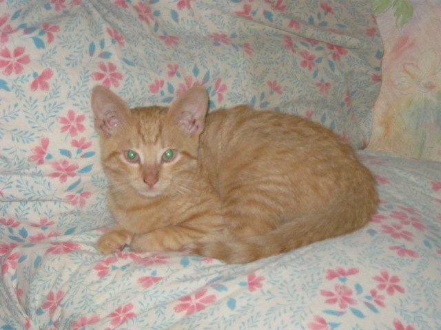 Юлия Павлова | Ярославль