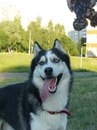 Фотография Алина Соловьева