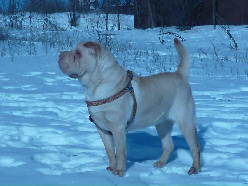 Евгений Титов | Кривой Рог