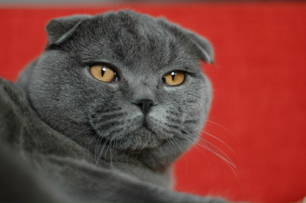 Анюта Гайдай | Москва