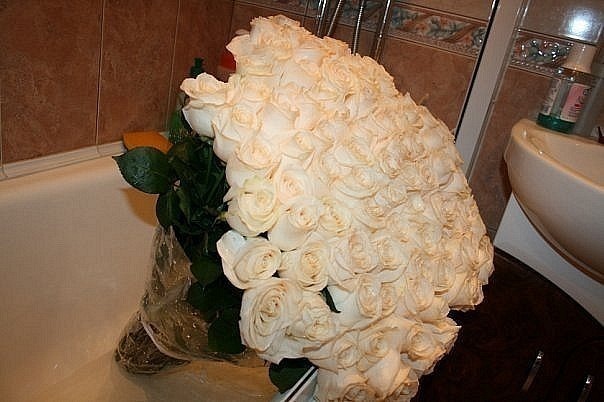 №56, Summer Girls, Львов №56, Summer Girls, Львов