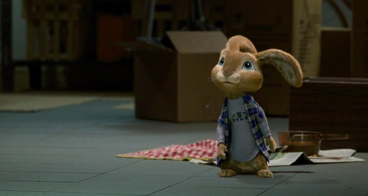 Тібі Попович /26.07.2017р./ | Kingston