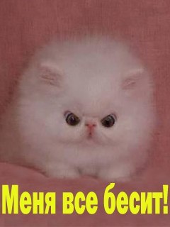 Екатерина Холод | Луганск