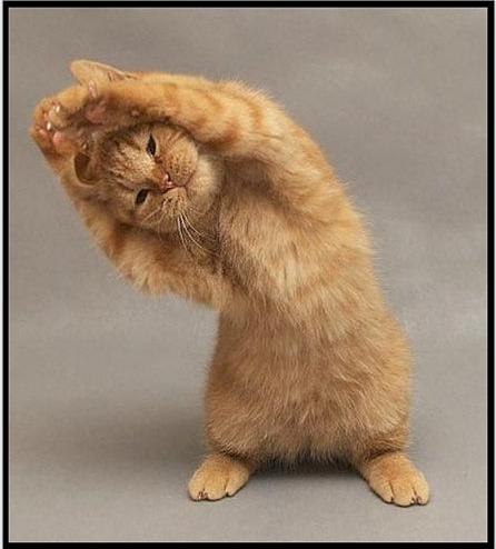 Максим Костяев | Нижний Новгород