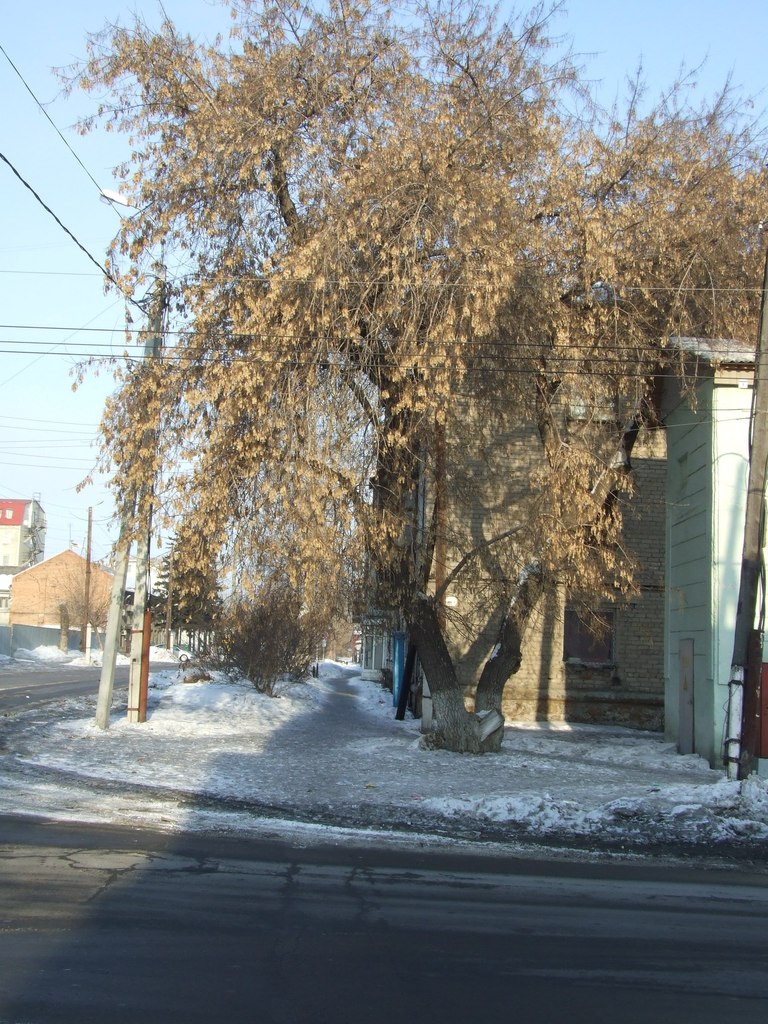 Антон Рожков Ботаник | Петрозаводск