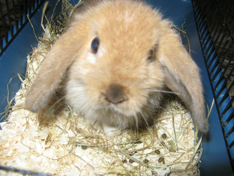 №85, Alienxunder Ufo №85, Alienxunder Ufo