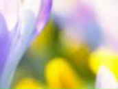 Татьяна Богатырева | Кунгур